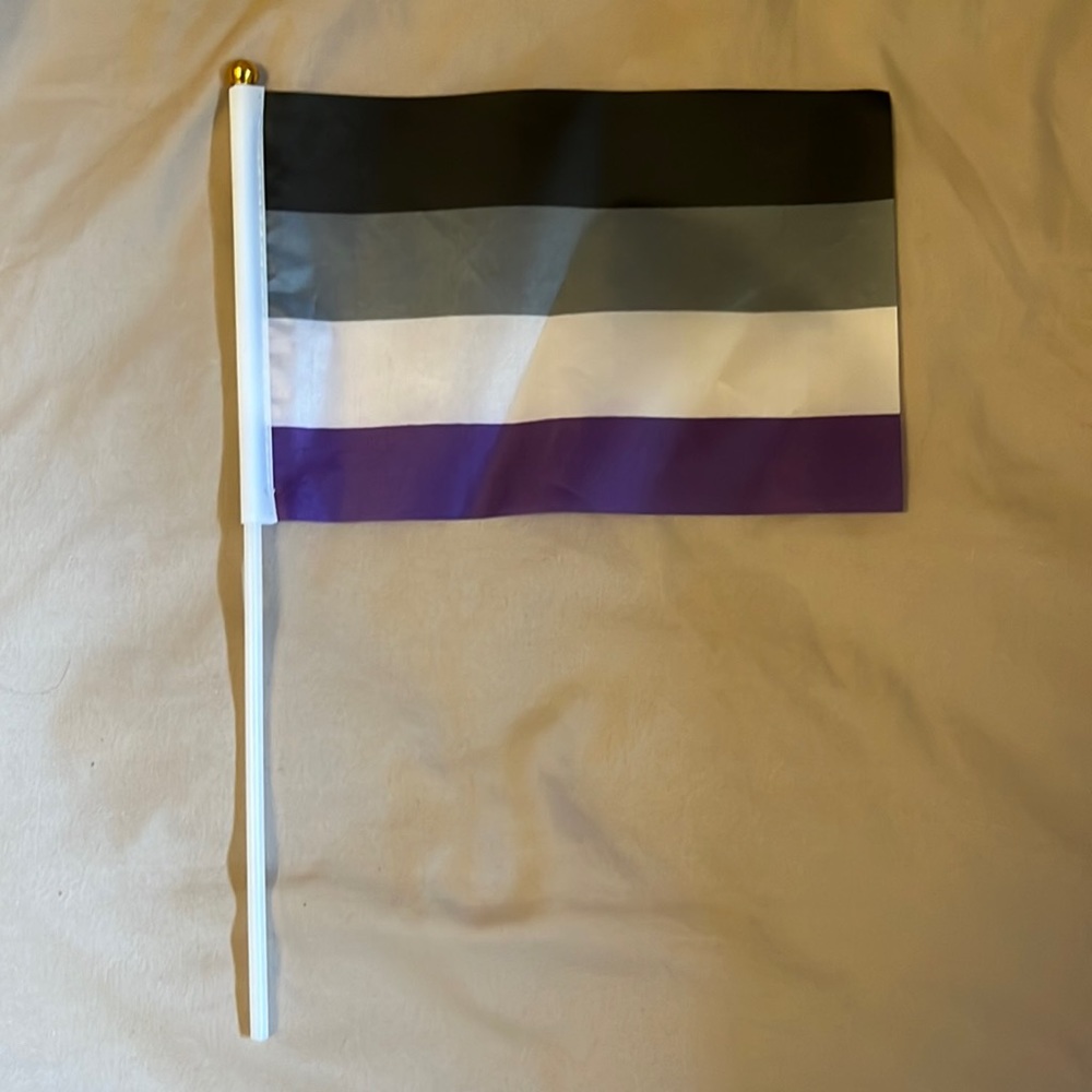 handheld asexual pride flag